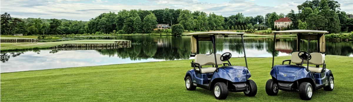 GOLF CARTS Sales 34 GOLF CARTS Sales -GOLF CARTS Sales 11