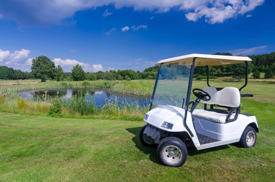 GOLF CARTS Sales 19 GOLF CARTS Sales -GOLF CARTS Sales 8